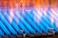 Lyne Down gas fired boilers
